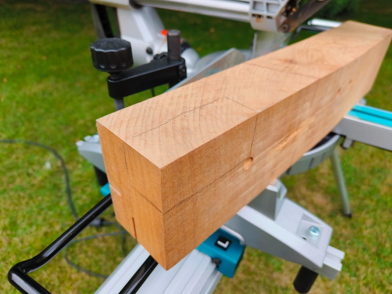 De originele beuken balk