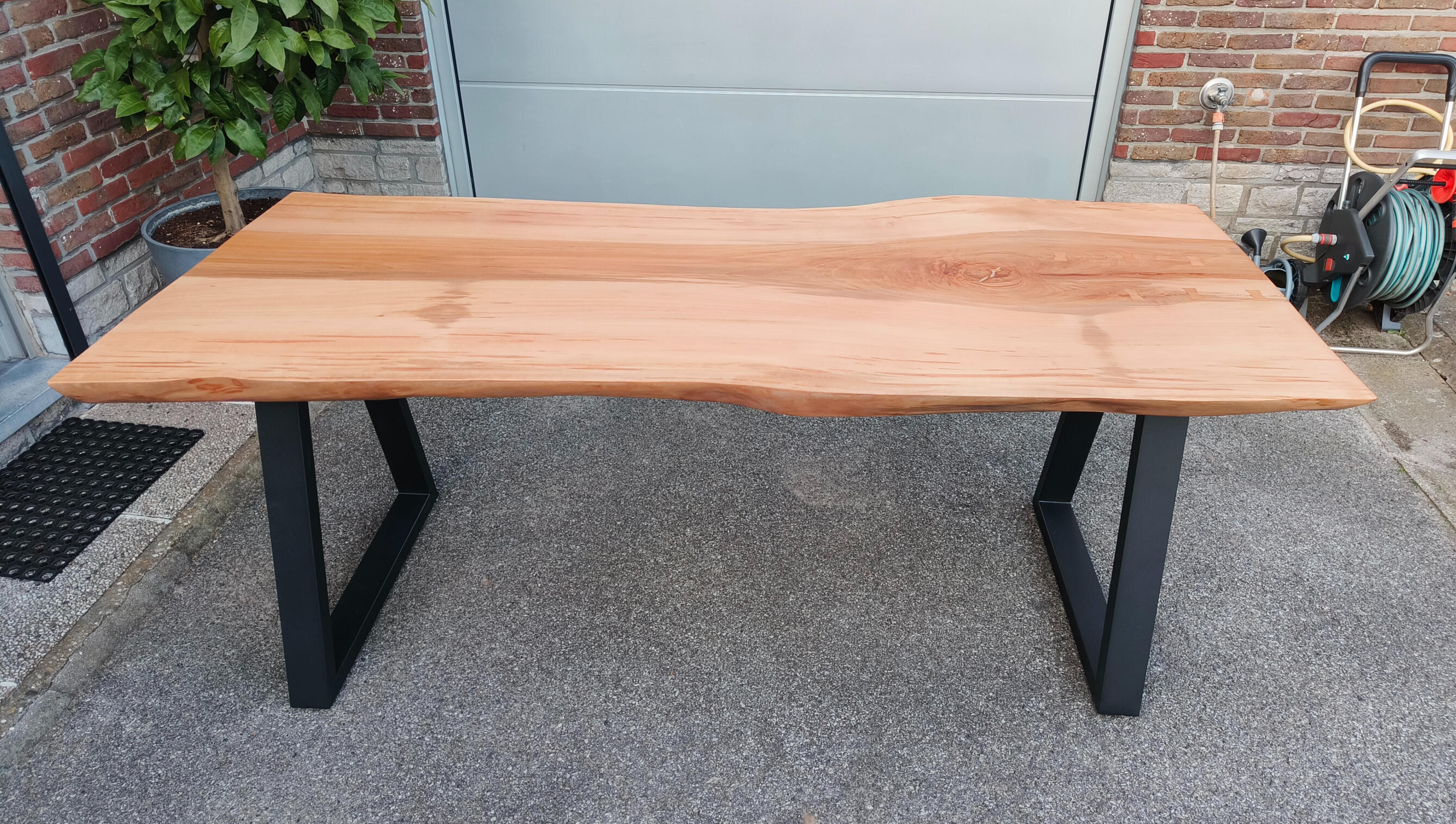 Beuken boomstamtafel