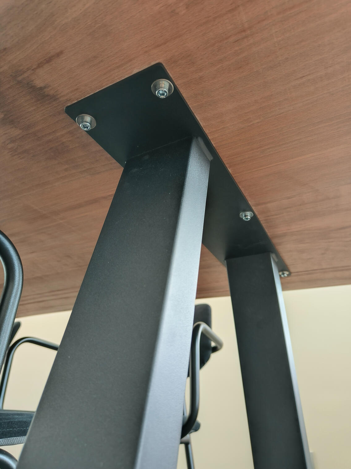 Beuken boomstamtafel