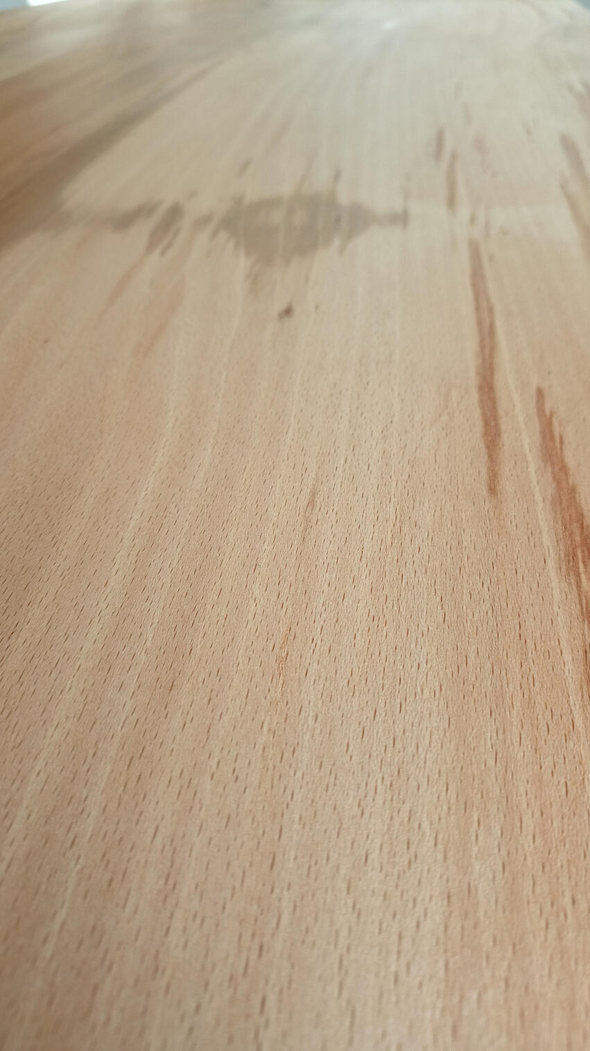 Beuken boomstamtafel