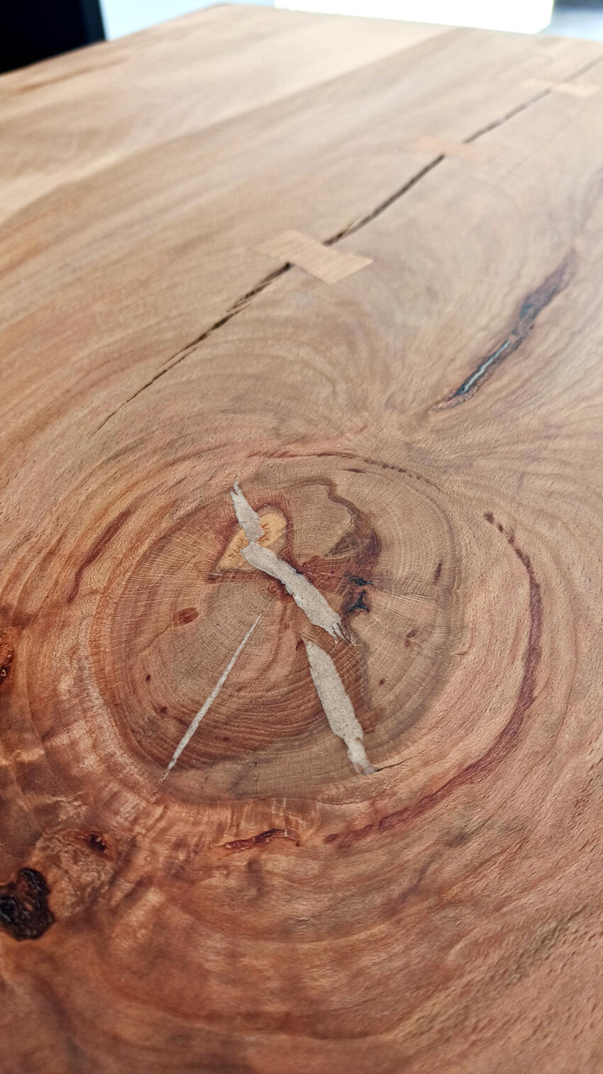 Beuken boomstamtafel